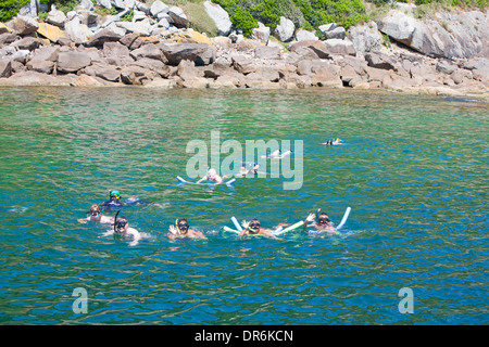 Groupe de personnes au tuba choux Palm Island, Port Stephens, New South Wales, Australie Banque D'Images