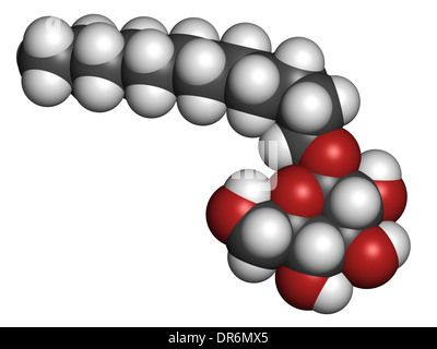 Glucoside Lauryl glucoside (sodium) molécule de surfactant non ionique. Un détergent doux, souvent utilisé dans les cosmétiques, les shampooings, etc. Banque D'Images