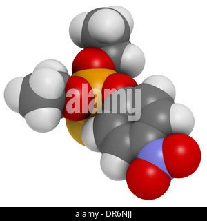 Molécule de pesticide parathion. Insecticide organophosphoré, a également été utilisé comme arme chimique. Banque D'Images