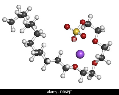 Le Sodium laureth sulfate molécule de détergent. Utilisé dans les cosmétiques, savons, shampoings, etc. Banque D'Images