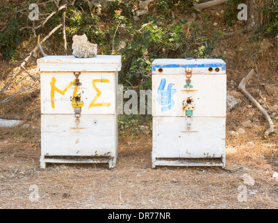 L'homme a fait en bois boîtes du miel dans les montagnes de l'île de Crète, Grèce. La production de miel biologique. Banque D'Images