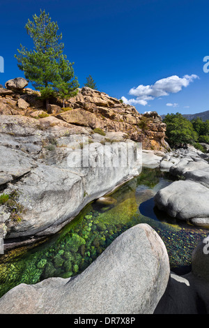 Golo, vallée d'Albertacce, Haute-Corse, Corse, France Banque D'Images