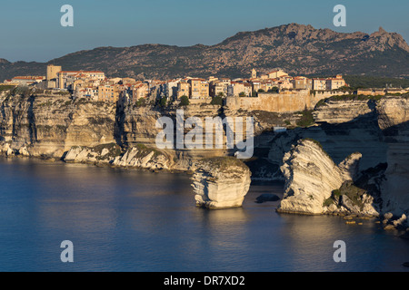 Falaises de craie dans la lumière du matin, Bonifacio, Corse-du-Sud, Corse, France Banque D'Images