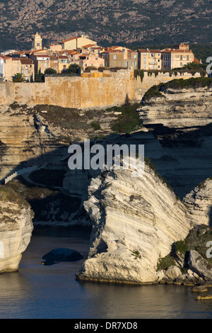 Falaises de craie dans la lumière du matin, Bonifacio, Corse-du-Sud, Corse, France Banque D'Images