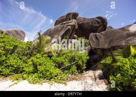 Des formations rocheuses typiques aux Seychelles, Anse Union européenne, La Digue, Seychelles Banque D'Images
