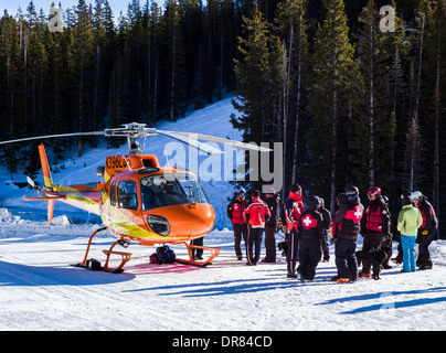 'Vol' pour la vie de l'équipe médicale et de l'hélicoptère ; formation classe avec Monarch Mountain National Ski Patrol & avalanche rescue dog Banque D'Images