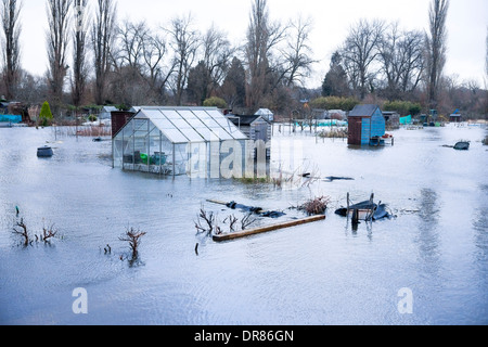 Sur serre jardin allotissement submergés dans l'eau de l'inondation de la rivière Avon près de Salisbury UK Banque D'Images