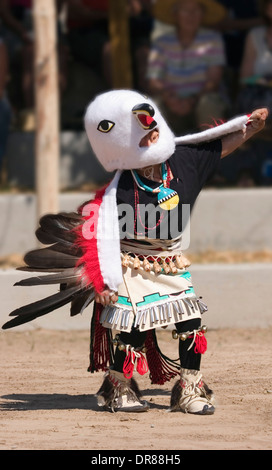 Garçon eagle dancer, huit le nord de Pueblos Arts and Crafts Show, San Juan Pueblo, New Mexico USA Banque D'Images