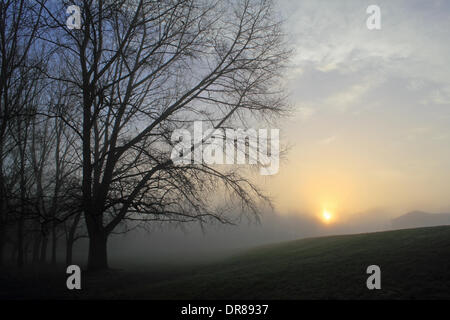 Ewell, Epsom, Surrey, Angleterre, Royaume-Uni. 21 janvier 2014. C'était un début de journée brumeuse comme le soleil se levait derrière les arbres en fom Cour Ewell Park, Surrey. Credit : Julia Gavin/Alamy Live News Banque D'Images