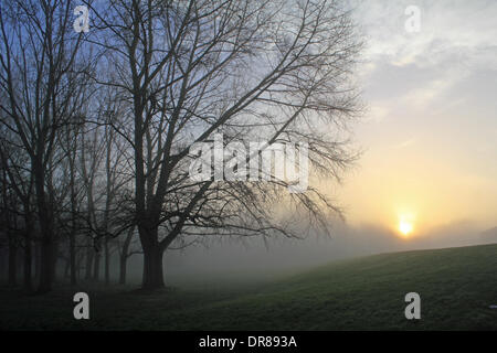 Ewell, Epsom, Surrey, Angleterre, Royaume-Uni. 21 janvier 2014. C'était un début de journée brumeuse comme le soleil se levait derrière les arbres en fom Cour Ewell Park, Surrey. Credit : Julia Gavin/Alamy Live News Banque D'Images