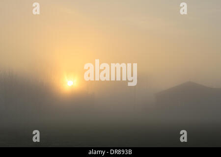 Ewell, Epsom, Surrey, Angleterre, Royaume-Uni. 21 janvier 2014. C'était un début de journée brumeuse comme le soleil se levait derrière les arbres en fom Cour Ewell Park, Surrey. Credit : Julia Gavin/Alamy Live News Banque D'Images