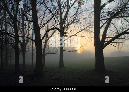 Ewell, Epsom, Surrey, Angleterre, Royaume-Uni. 21 janvier 2014. C'était un début de journée brumeuse comme le soleil se levait derrière les arbres dans la cour Ewell Park, Surrey. Credit : Julia Gavin/Alamy Live News Banque D'Images