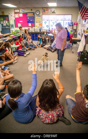 Une classe de l'école élémentaire principalement hispanique à San Bernardino, CA, lève la main pour poser des questions comme ils obtiennent une leçon dans le soin aux animaux du propriétaire d'un chien chow. Banque D'Images