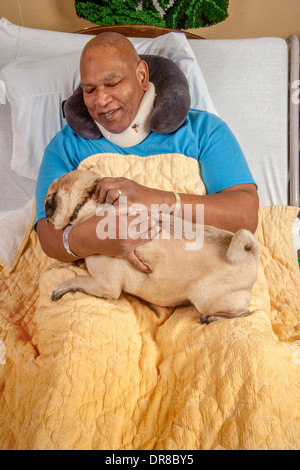 Un patient de l'hôpital dans le sud de la Californie en étreignant un Pug dog confort apporté par un bénévole. Communiqué de modèle Banque D'Images