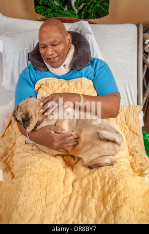 Un patient de l'hôpital dans le sud de la Californie en étreignant un Pug dog confort apporté par un bénévole. Communiqué de modèle Banque D'Images