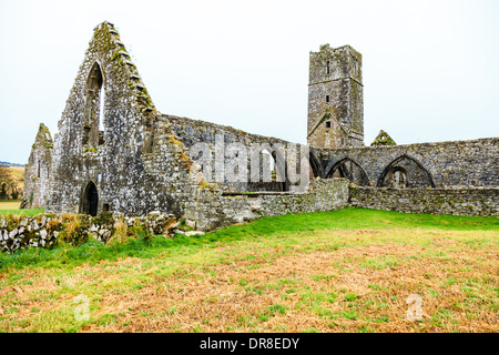 Kilcrea, Irlande - 28 novembre 2012 : cité médiévale Kilcrea Kilcrea Friary (Abbaye) situé près d'un four Banque D'Images