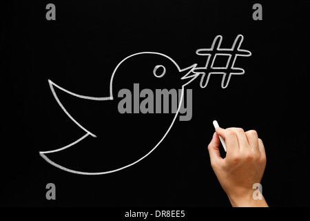 Croquis à main tenant un oiseau symbole hashtag dans son bec avec craie blanche sur un tableau noir. Banque D'Images