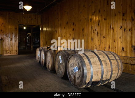 Sélectionnez barils de Bourbon à la distillerie de Buffalo Trace à Frankfort, Kentucky Banque D'Images