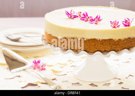Lilikoi élégant (fruits de la passion) tarte chiffon avec croûte de biscuits graham Banque D'Images