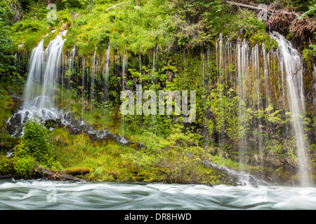 Mossbrae Falls et de la rivière Sacramento, Californie, Dunsmuir Banque D'Images