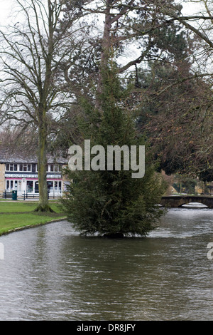 Cotswolds, région d'une beauté naturelle Kingham Angleterre Banque D'Images