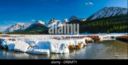 Prairie de montagne au printemps, la région de Kananaskis, Alberta, Canada Banque D'Images