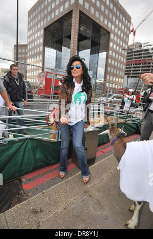 Nancy dell'Olio Journée internationale des veuves - Celebrity célébrités à pied de chèvre mener troupeau de chèvres sur le pont de Londres pour marquer la Journée internationale des veuves. Londres, Angleterre - 23.06.12 Banque D'Images