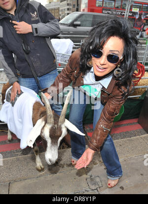 Nancy dell'Olio Journée internationale des veuves - Celebrity célébrités à pied de chèvre mener troupeau de chèvres sur le pont de Londres pour marquer la Journée internationale des veuves. Londres, Angleterre - 23.06.12 Banque D'Images