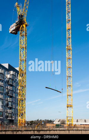 Groupe de grues sur un chantier de construction de nouvelles maisons dans le centre de Reading, Berkshire, England, GB, au Royaume-Uni. Banque D'Images