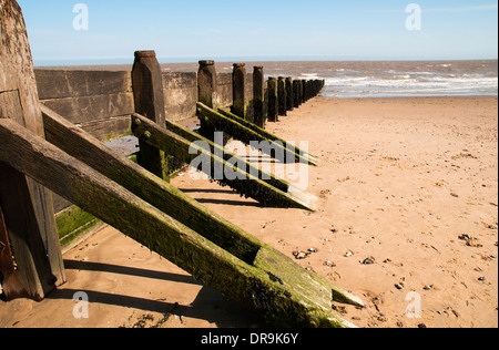 Un brise-lames en bois sur une plage de sable à marée basse. Banque D'Images