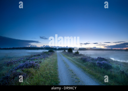 Route de masse dans le crépuscule à travers marais, Drenthe, Pays-Bas Banque D'Images