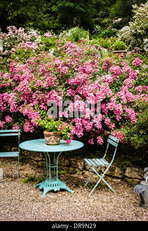 Roses en cour de l'hôtel Garden in Giverny France UE Banque D'Images