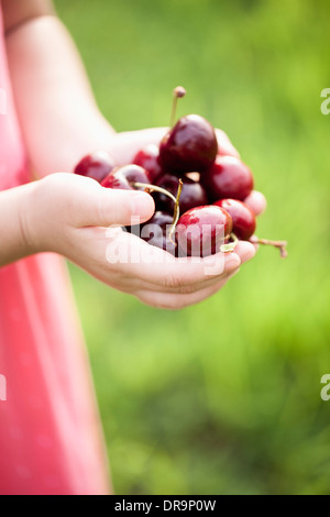 A girl holding a bouquet de cerises Banque D'Images