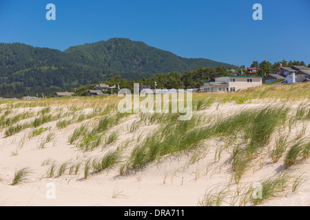 MANZANITA, Oregon, USA - dunes de sable et l'herbe sur côte de l'Oregon. Banque D'Images