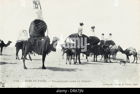 Algérie - Transport de Chameaux Banque D'Images