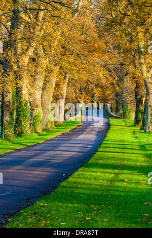 Route de Powderham Castle, Kenton, Devon, Angleterre, Royaume-Uni, Europe. Banque D'Images