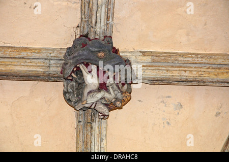 Patron dans le plafond du cloître, Cathédrale de Norwich. Banque D'Images