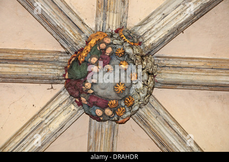 Patron dans le plafond du cloître, Cathédrale de Norwich. Banque D'Images