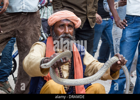 Charmeur de serpent en Inde Banque D'Images