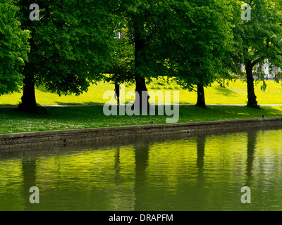 Arbres et runner reflétée dans l'eau du lac au Pavilion Gardens un parc public à Buxton Derbyshire Peak District England UK Banque D'Images