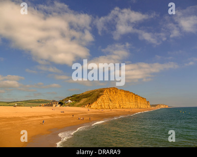 Cliffs Côte jurassique du Dorset UK Broadchurch West Bay Banque D'Images