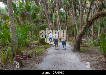 Les gens qui marchent sur William S Boylston sentier nature menant au pied de la canopée dans Myakka River State Park Sarasota en Floride Banque D'Images