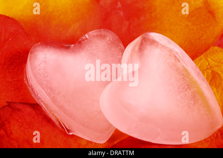 En forme de coeur de glace artificielle sur des pétales de rose Banque D'Images