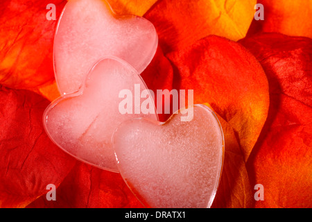 En forme de coeur de glace artificielle sur des pétales de rose Banque D'Images