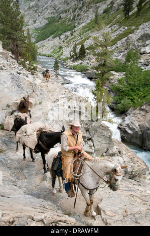 L'emballeur menant pack train le long river Banque D'Images