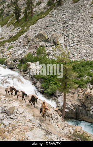 L'emballeur menant pack train le long river Banque D'Images