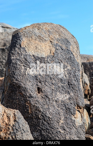 Rock art trouvés au Signal Hill de Saguaro National Park a été créé par des personnes Hohokam préhistoriques entre 300 et 1450 AD Banque D'Images