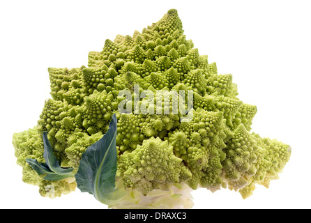 Le brocoli Romanesco Banque D'Images