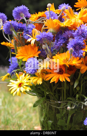 Bouquet de fleurs colorées dans une prairie d'été Banque D'Images