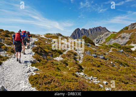 Les randonneurs sur l'Overland Trail dans le Parc National de Cradle Mountain, en Tasmanie Banque D'Images